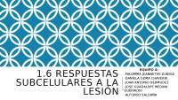 Respuestas subcelulares a la lesion
