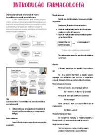 Introdução aos Fármacos: Conceitos, Efeitos e Nomenclatura