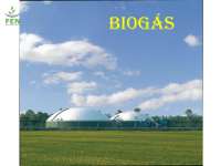 Programa Paulista de Biogás: Objetivos, Produção e Usos
