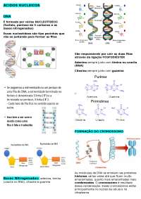 RESUMO - ÁCIDOS NUCLEICOS - Docsity