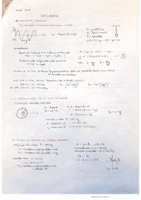 Ondas e Meios Contínuos - Notas de Aula