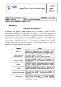 Relatório de Aulas Práticas - EaD: Introdução ao Laboratório de Microbiologia