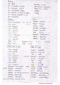 Apuntes de ingles bachillerato - Docsity