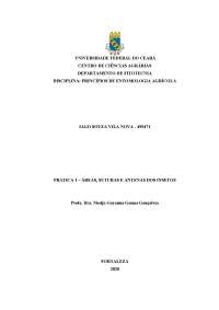 Entomologia, Morfologia e Suturas