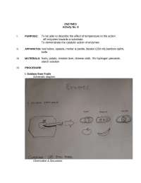Enzyme CHEM-LAB Report