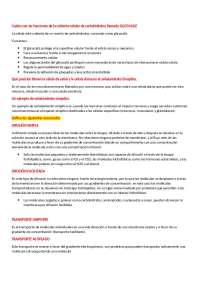 taller histologia basica