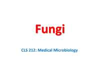 Medical Microbiology: Fungi