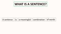 MAIN ELEMENTS OF A SENTENCE - Docsity