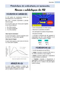 Resumo de metabolismo de carboidratos em ruminantes