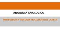 Generalidades Neoplasias