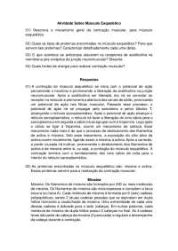 Atividade Sobre o Sistema Muscular Esquelético