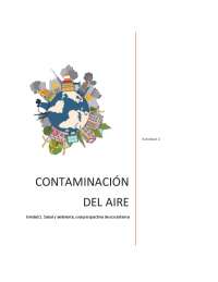 Contaminación del Aire: Impacto en la Salud Humana y Ambiental