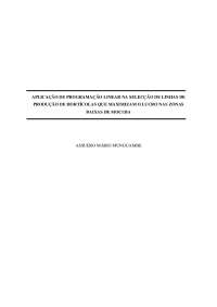 APLICAÇÃO DE PROGRAMAÇÃO LINEAR  Munguambe, dr. Victor Mutepa