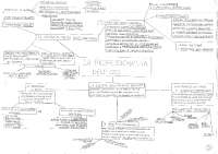 Mappe concettuali psicologia classe quinta