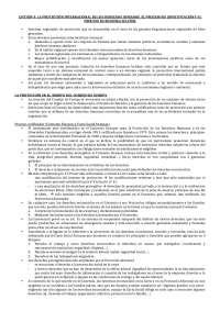 Tema 3: la protección internacional de los derechos humanos II - Docsity