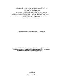 FORMAÇÃO INDUSTRIAL E AS TRANSFORMAÇÕES RECENTES NA ECONOMIA DE MATO GROSSO DO SUL