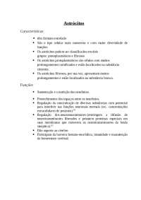 Astrócitos: Características e Funções
