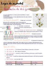Genes y leyes de Mendel