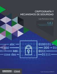 Criptografía y Mecanismos de Seguridad: Analicemos la Situación