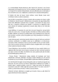 geomorfologia, rochas, efluentes