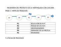Mapas de procesos y actividades en la fabricación de mermelada con cascara
