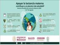 Lactancia importante