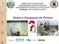 Abate e despesca de peixes