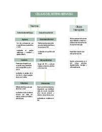 Células del Sistema Nervioso: Neuronas, Neurogliales - Prof. Zabala