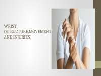 Structure of the wrist