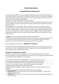 Appunti di Biochimica: Carboidrati, Gluconeogenesi, Glicolisi, Ciclo di Krebs e Lipidi