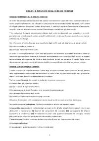 Compendio di Deontologia Forense (2025)