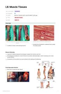 The Types of Muscular Tissue