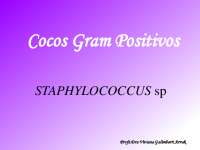 Microbiologia - Gram