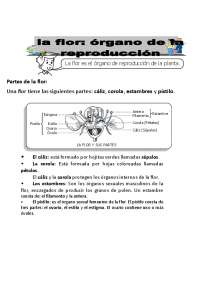 PARTES DE LA FLOR, SEMILLA Y ETC