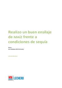 Buen ensilaje de maíz bajo condiciones secas: cómo lograrlo