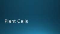 Understanding the Structure and Function of Plant Cells: A Comprehensive Guide