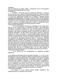 Modelo de Colocación Familiar en menores de edad