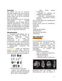Microfósseis e a ideia do fóssil guia