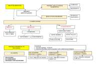 mappe-concettuali-malattie-genetiche-igiene-v-anno-istituto-socio