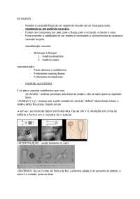 Cirurgia Plástica:  RETALHOS