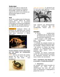 Introdução e conceituação de Paleontologia