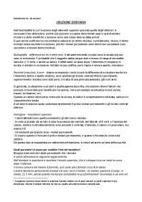 Pedodonzia 05 - Appunti di lezione 1