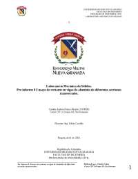 preinforme ocho vigas