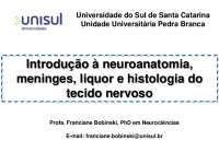 introdução Neuroanatomia