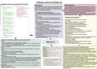 Shakespeare Mindmap