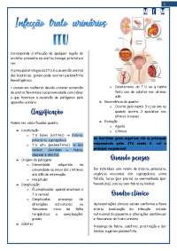 ITU - infecção do trato urinario