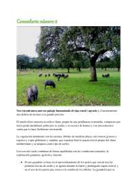Comentario del paisaje la una dehesa de encinas con ganado porcino.