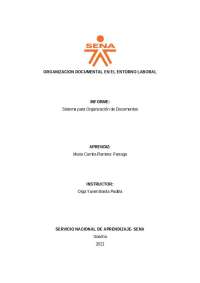 Informe sistema para organizacion