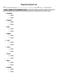 Respiratory System Lab Report - Docsity