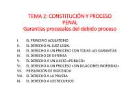 Apuntes tema 2 procesal penal | Apuntes de Derecho Procesal Penal | Docsity